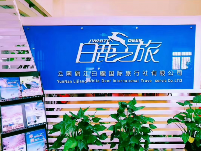 丽江市旅行社行业苦练内功待春天