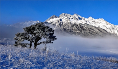 玉龙雪山牦牛坪索道3月6日恢复运营 票价有优惠