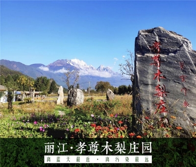 咦？丽江藏着这么好玩的孝尊木梨庄园！