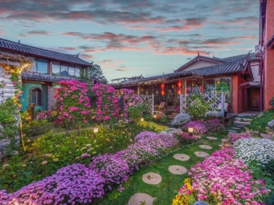 抖音上超火的这家丽江民宿，院子里“4万万朵玫瑰花”盛放，绝美！