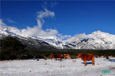 到丽江遇见最百变的玉龙雪山