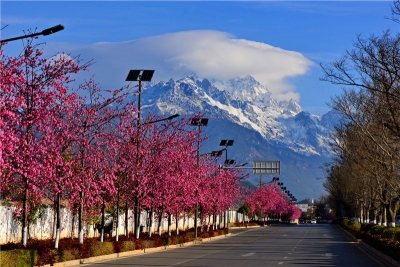 注意！丽江玉龙雪山牦牛坪索道5月1日起恢复正常运营