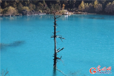 云南丽江甲子村：特色旅拍成致富新亮点