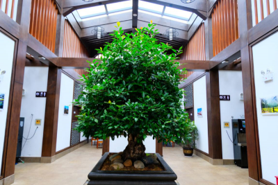 世界厕所日丨丽江“厕所革命”助推全域旅游发展