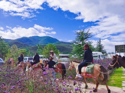 丽江东巴汽车旅游营地荣膺云南省首家国家五星级汽车自驾运动营地