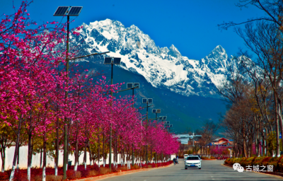 丽江市古城区：全域旅游赋能 乐享柔软时光