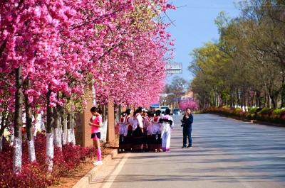 喜讯！丽江市古城区成为国家全域旅游示范区