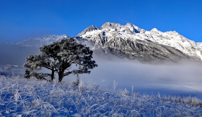 冬至赏雪，一组丽江玉龙雪山雪景图献给你！