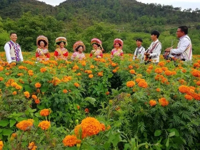 喜讯！丽江市华坪县被命名为第八批全国民族团结进步示范区