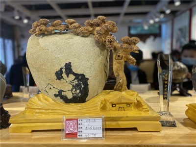 观大自然的鬼斧神工 首届丽江古城杯奇石展举办
