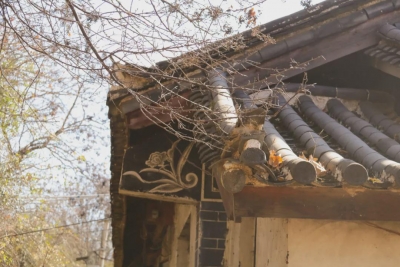 送你一份冬天里的丽江猎鹰谷阳光，请查收~
