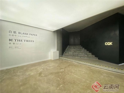 昆明当代美术馆(CGK)双展开幕 呈现超然诗韵的“白纸”和“树”