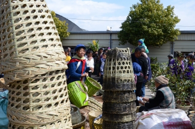 天雨流芳·文旅大集丨丽江“棒棒会”竟然是清雍正元年后形成的？