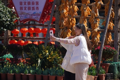 丽江过年年味浓 春风徐来鲜花盛开