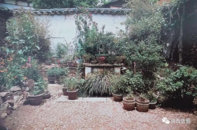 揭秘！纳西民居为何家家有院、户户有花？
