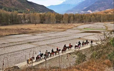 丽江三股水景区：吃上生态饭 更加懂生态
