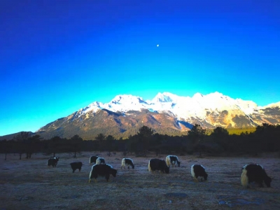 体验“牛”转乾坤、探星空酒店年味...留丽过年，玉龙雪山每天给你安排妥！