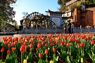 收假浪漫不停，丽江这些情侣旅行地你想带谁去？