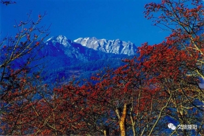 请查保山送您的《春节旅游指南》，超“牛”指数max！