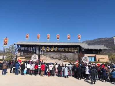 在丽过年不将就！丽江景区创意多 高质量迎客来