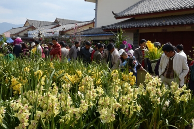 天雨流芳·文旅大集丨丽江“棒棒会”竟然是清雍正元年后形成的？