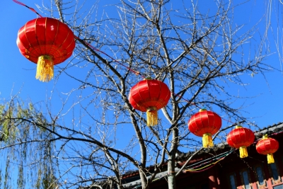 四万余盆鲜花装点丽江古城！春节假日赏花游受青睐