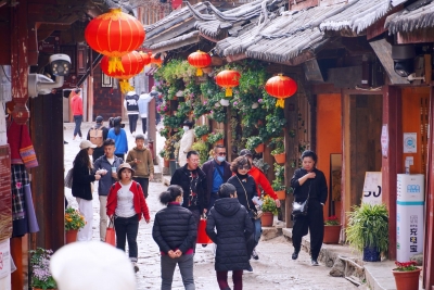 丽江古城赏花游热度不减