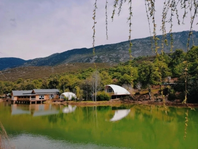 属于春天的仪式感都有，丽江东巴谷太值得去！