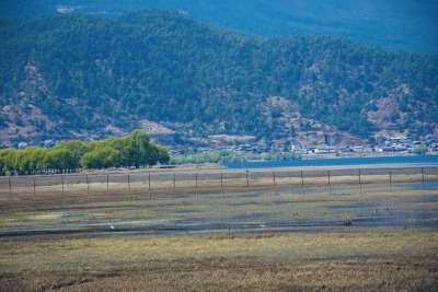 生态旅游助力丽江打造健康生活目的地