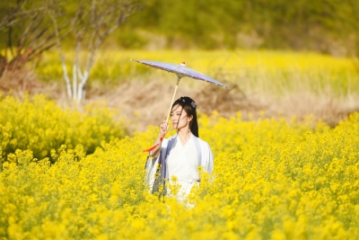 丽江油菜花田抢镜大戏上演，教你C位出圈！