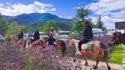 春游丽江丨相约东巴谷，骑马游茶马古道！
