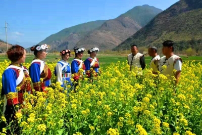 乡村游｜春天已“到货”！丽江石鼓油菜花开