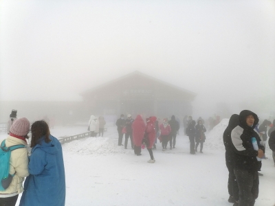玉龙雪山春雪飞舞！各地游客前来打卡体验冰雪魅力