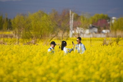 丽江油菜花田抢镜大戏上演，教你C位出圈！