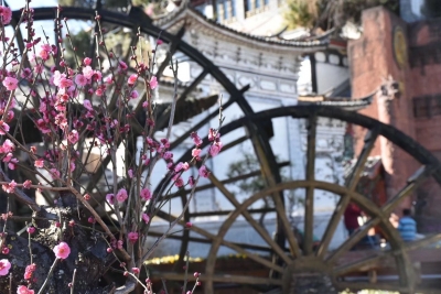 丽江古城这样玩，下一个旅游达人就是你！