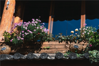 再忙，也要去旅行！你来的时候就是丽江最美的时候