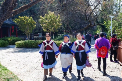 女神节咋个过？丽江黑龙潭公园受欢迎