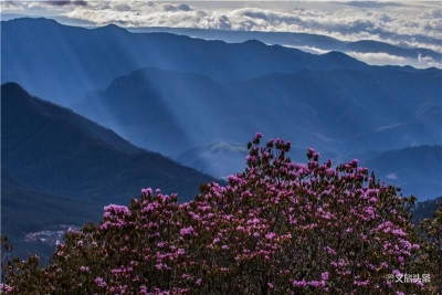 女神节将至，3月旅行推荐去丽江这些地方！