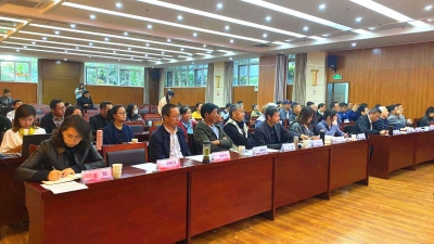 丽江古城建筑遗产保护学会成立