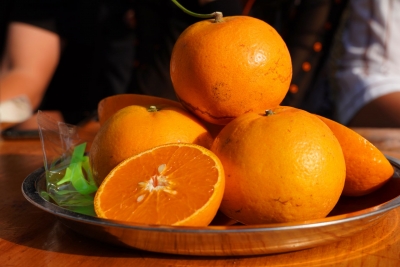 2021金沙江水果节启动，丽江每月都有好吃好玩的！