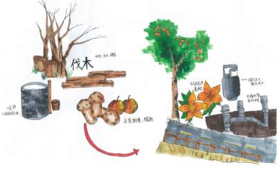 世界地球日｜有爱！一群孩子画笔下的丽江老君山滇金丝猴