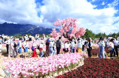 33.55万人次清明假期游丽江 实现旅游收入3.82亿元