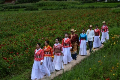 让乡村更美好！丽江文旅人浅谈“旅游+非遗”融合发展
