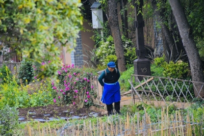 春暖花开 丽江欢迎您｜束河古镇旅拍受欢迎 年累计接拍超10万对