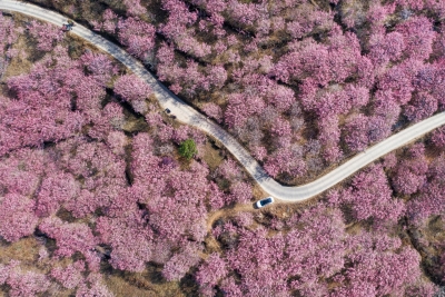 正式命名！永胜县新名片——“云南省美丽县城”