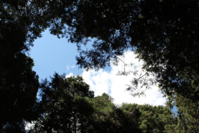 丽江小众秘境指南｜错峰游正当时，打卡束河八景！