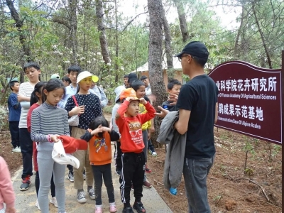 六一怎么过？到丽江东巴谷古村寻宝、亲子大作战，玩游戏还有奖品送！
