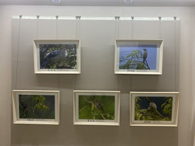 滇西北生物多样性有多丰富？可到丽江这个展示中心一探究竟