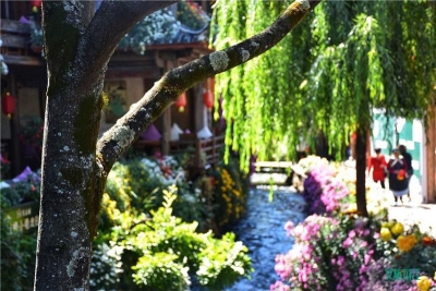 提前安排！端午节放假3天，一起出发丽江...