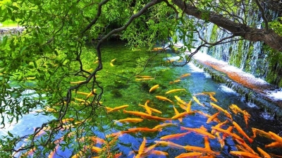 丽江玉水寨，夏日出游好去处！